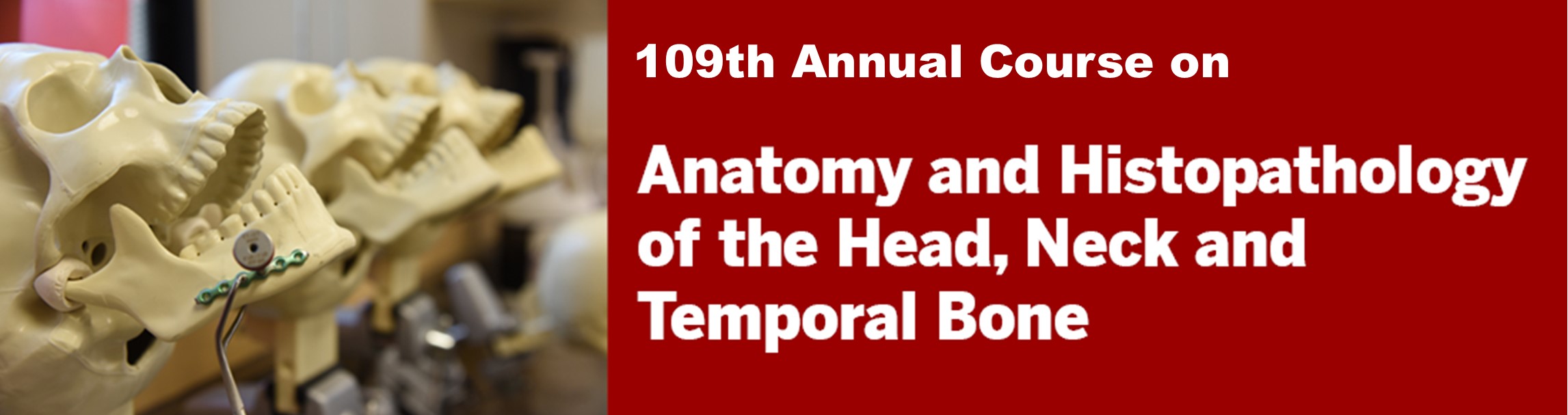 109th Annual Course on Anatomy & Histopathology of the Head, Neck & Temporal Bone Banner